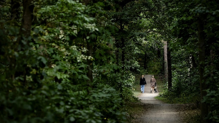 Zeist in de ban van voortvluchtige verdachte: 'Tips stromen binnen'