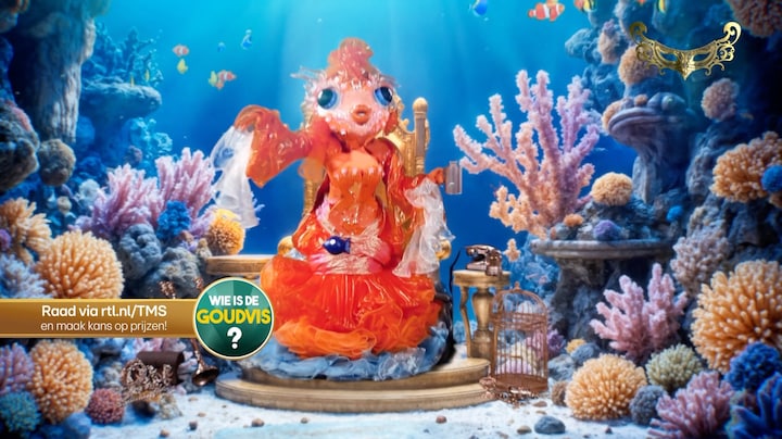 De Goudvis - Feeling Good 