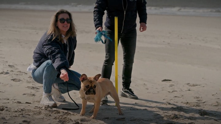 Hond Bo Wilkes kampt met dwangneurose: 'Echt een probleem'
