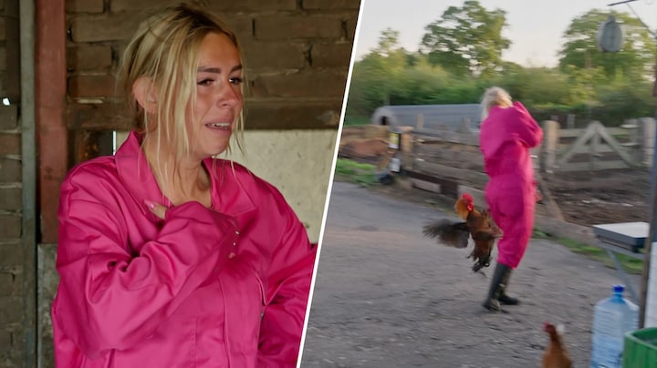 Lesley Versprille in tranen na aanval van agressieve haan