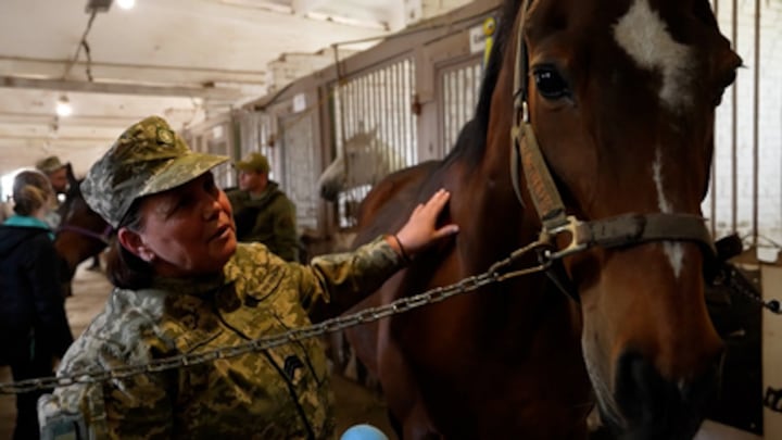 Paardentherapie moet Oekraïense soldaten helpen trauma's te verwerken